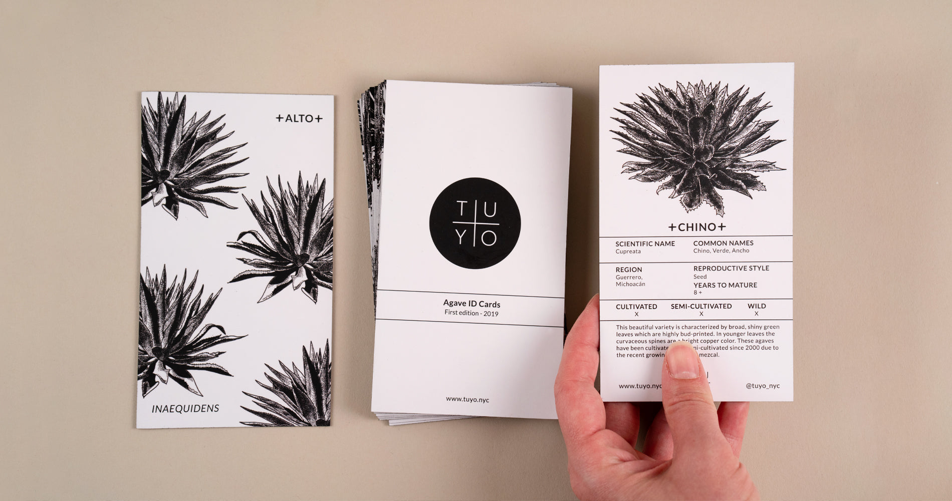 agave cards front and back