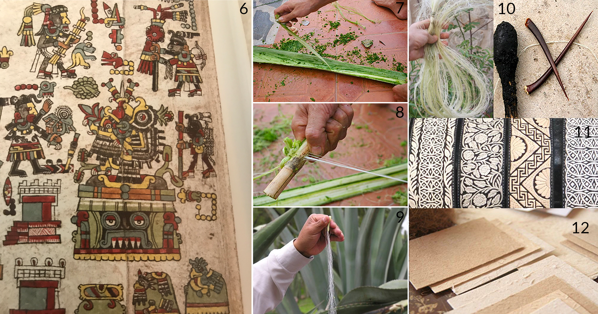 codex-pita-agave-fibers