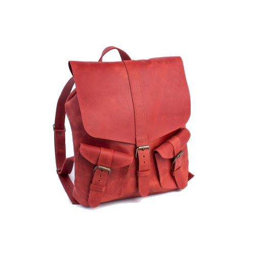 large designer backpack