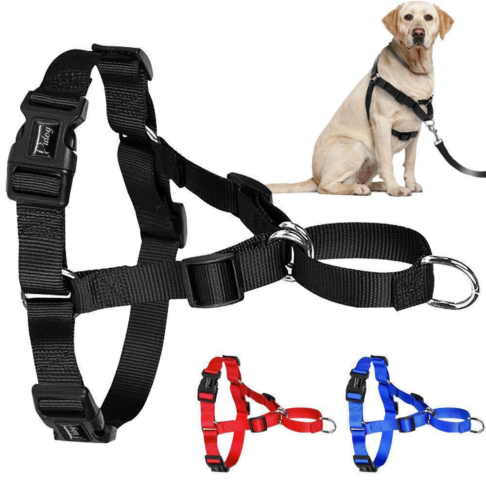 easy walk dog harness