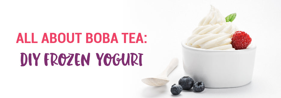 frozen yogurt supplies, frozen yogurt suppliers, how to make frozen yogurt, DIY frozen yogurt, homemade frozen yogurt, how to make homemade frozen yogurt, opening a bubble tea shop, opening a frozen yogurt shop, frozen yogurt flavors, frozen yogurt syrup, tapioca pearls