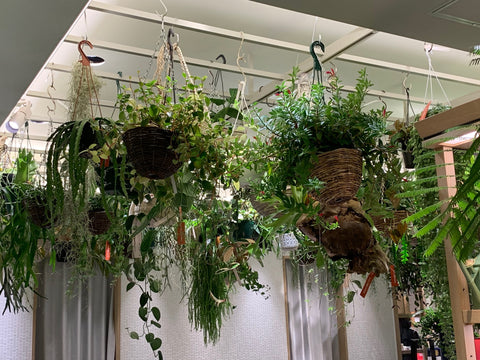 Green hanging baskets as featured on Talking Tables Blog