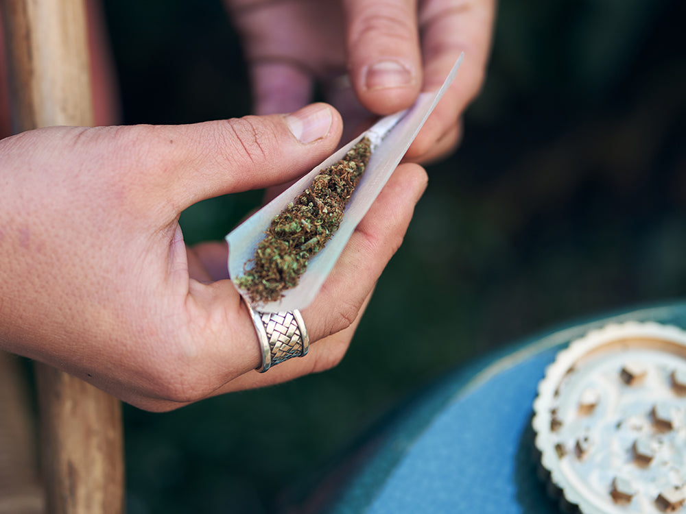 Hands holding rolling paper filled with ground dried cannabis