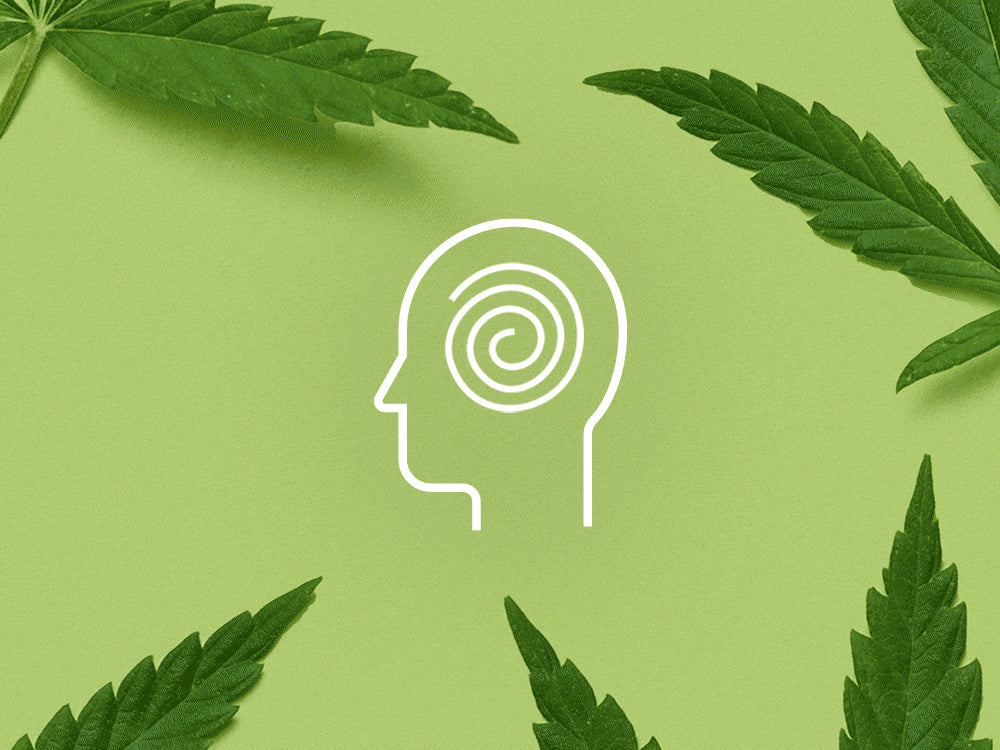 White line illustration of head with swirl inside on green background, with dark green cannabis leaves around it