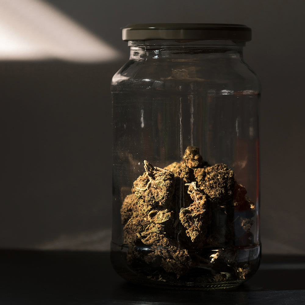 Image of a large jar filled with big dried cannabis flowers 