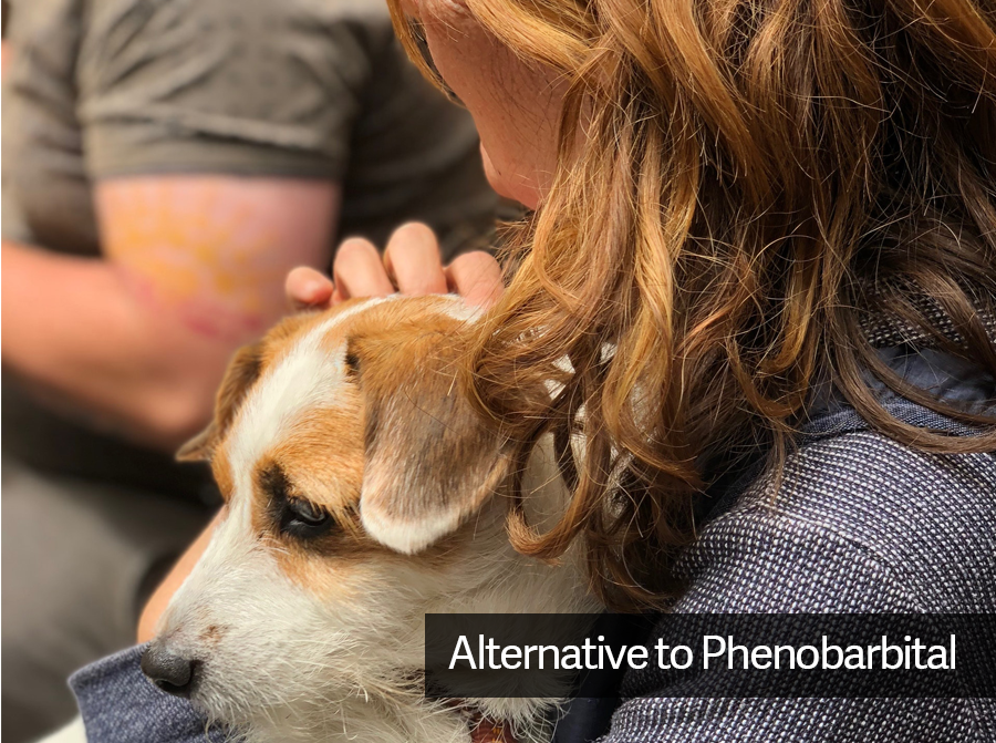 how much does phenobarbital help dogs