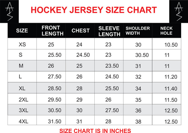ZD Raptors Hockey Jersey (Blue and White) LE35