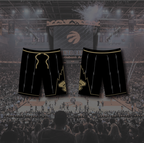 ZD Raptors Shorts (Black and Gold)