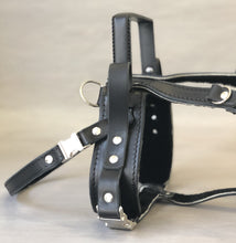 Y Front Leather Guide Dog Harness