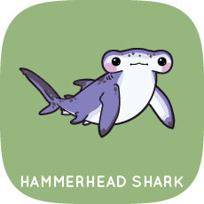 Hammerhead Shark