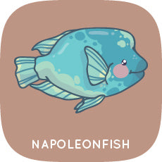 Napoleonfish