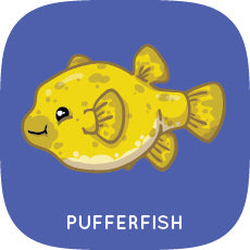 Pufferfish