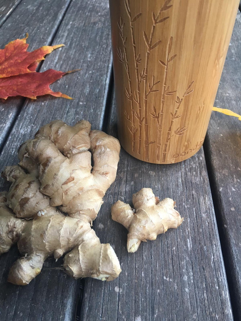 Ingwer Tee Erkältung Winter Herbst