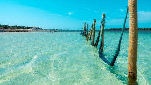 Jericoacoara Barthelemy