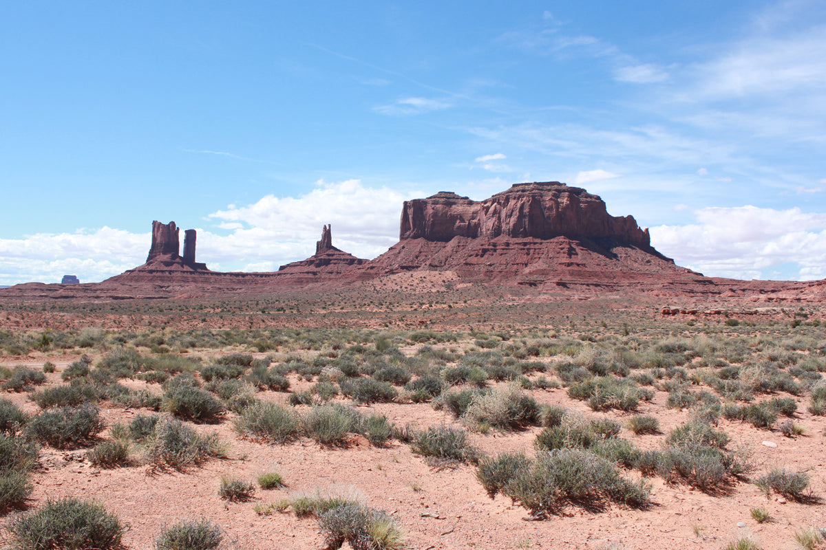 Monument Valley Online Trading Post