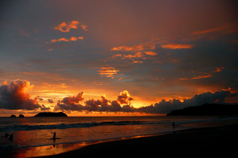 le-parc-national-manuel-antonio