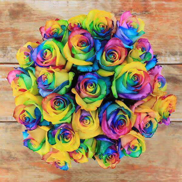Rainbow Rose Bouquets For Delivery