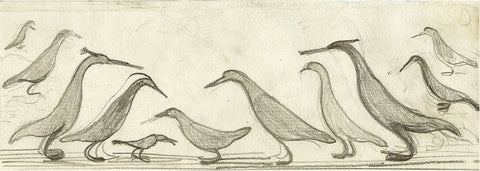 Joseph Hecht - preparatory drawing for Oiseaux de Madagascar II