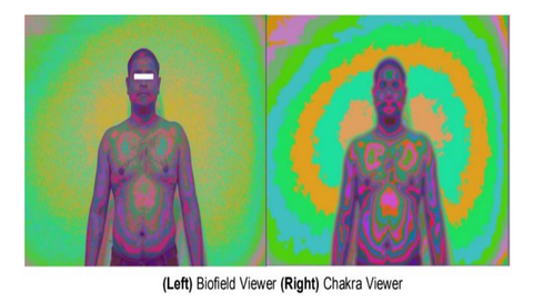 Biofield Viewer