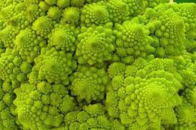 Romanesco cauliflower