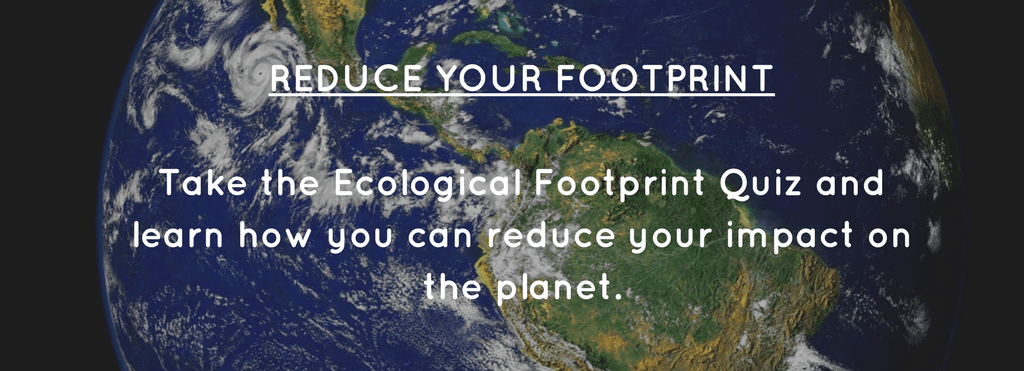 sustainable shoppers guide to earth day | BuyMeOnce.com