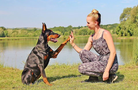 Dog and Owner in Park