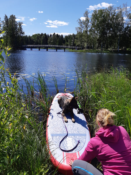 SUP-lautailua koiran kanssa