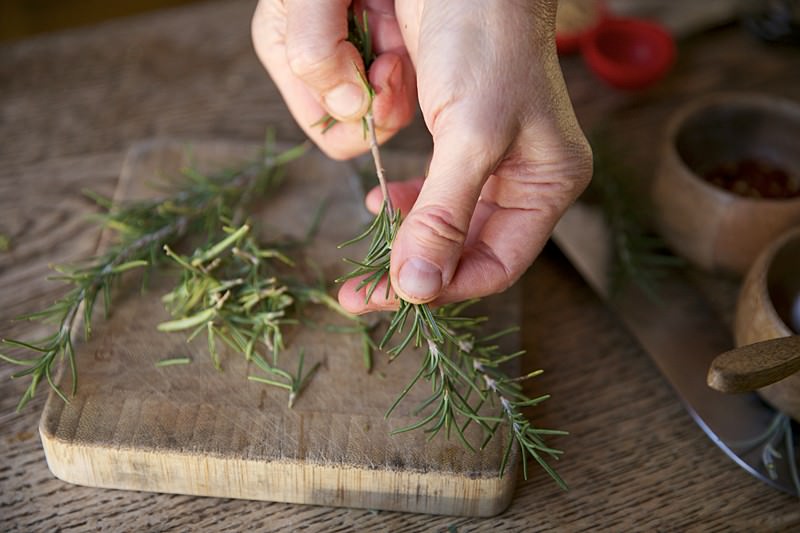 Rosemary to be placed in brine for turkey to be baked in Fontana wood-fired oven 