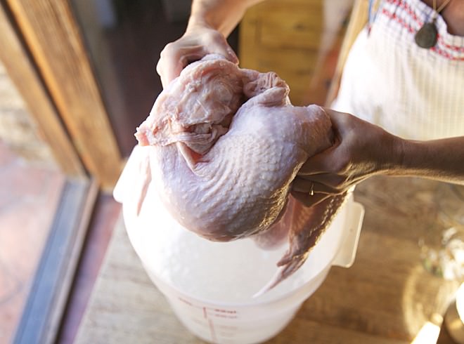 Place the turkey in a clean, heavy duty, food grade plastic storage bucket