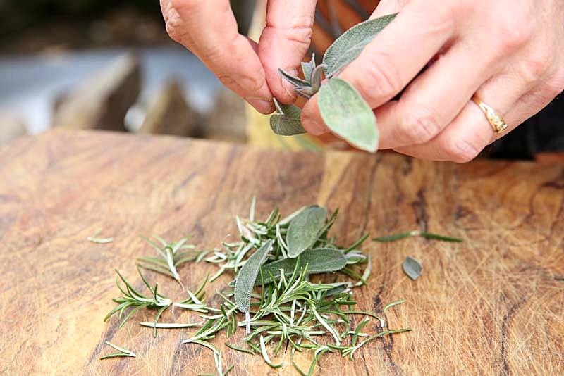 use fresh sage leaves and rosemary