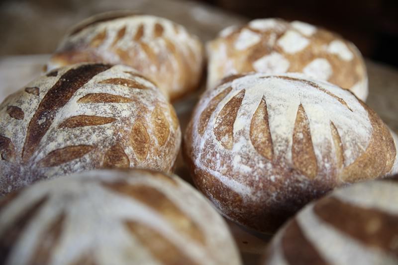 Bread baked in the Fontana wood-fired oven