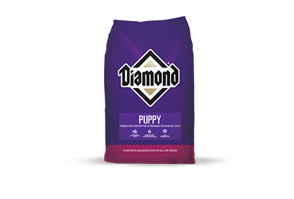 is diamond dog food a good brand