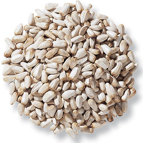 safflower seed 50 lb bag