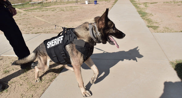 Image of K9 vest