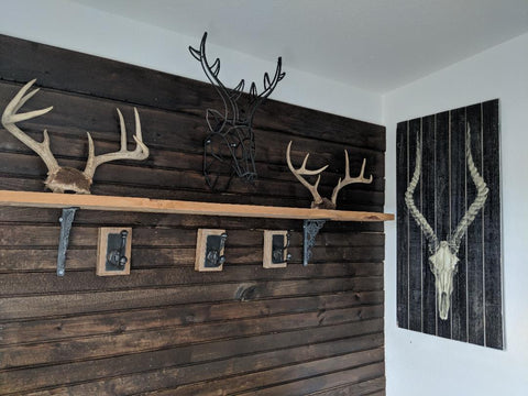 mud room with hooks and horns