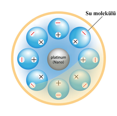 SU MOLEKÜL