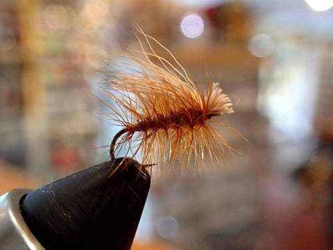 Elk Hair Caddis