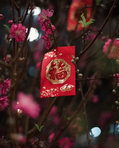 chinese new year tea