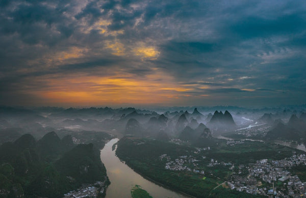 guangxi tea