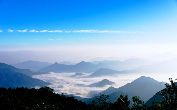 feng huang mountain