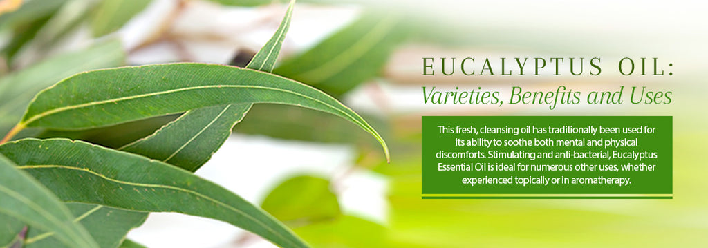 Eucalyptus Essential Oil - Uses & Benefits - Essentially You Oils - Ottawa