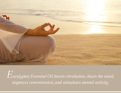 Eucalyptus Essential Oil Uses & Benefits - Essentially You Oils - Ottawa