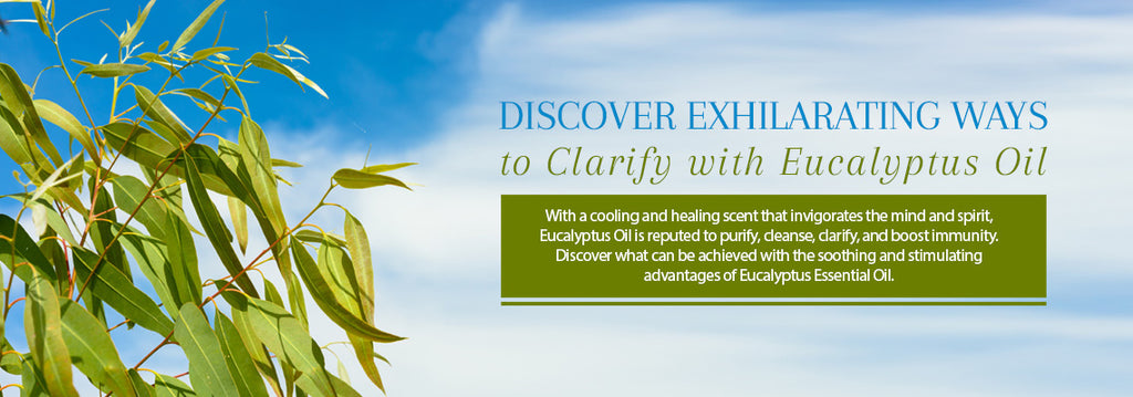 Eucalyptus Essential Oil - Recipes, Uses & Benefits - Essentially You Oils - Ottawa 