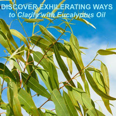 Eucalyptus Essential Oil - Uses & Benefits - Essentially You Oils - Ottawa Ontario Canada