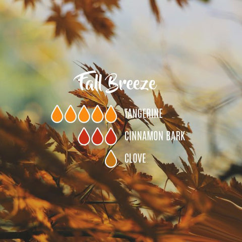 fall breeze, fall and autumn blends