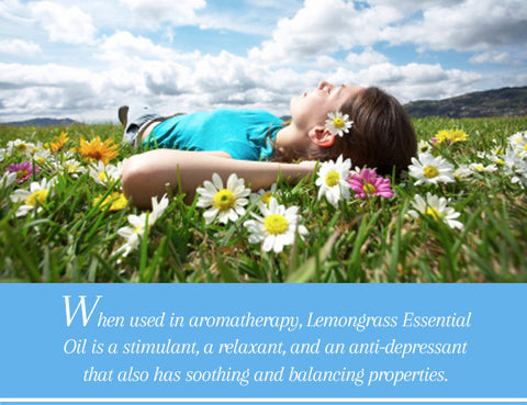 Lemongrass Essential Oil - Uses & Benefits - Essentially You Oils - Ottawa Ontario Canada