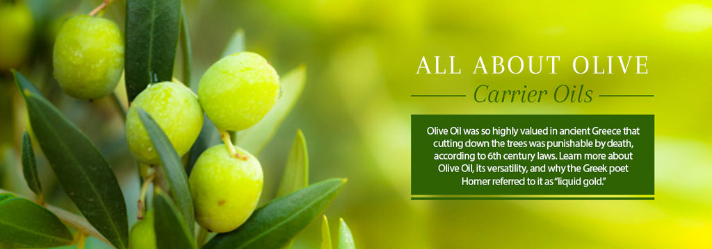 All About Olive Oil - Essentially You Oils - Ottawa Canada