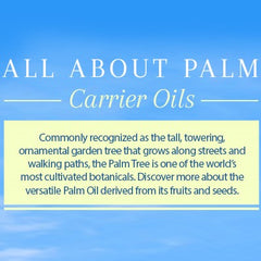 All About Palm Oil