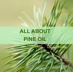 All About Pine Oil