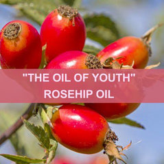 Rosehip Oil Caption